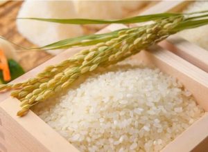 GẠO NGON MỄ TRÌ – CHỌN GẠO NAM BÌNH, CHỌN CHẤT LƯỢNG CHO GIA ĐÌNH VÀ NHÀ HÀNG